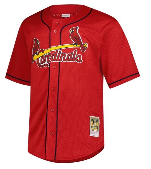 Adult Mark McGwire St. Louis Cardinals Mitchell & Ness Red Cooperstown Mesh Batting Practice Jersey - Men's - Image 2