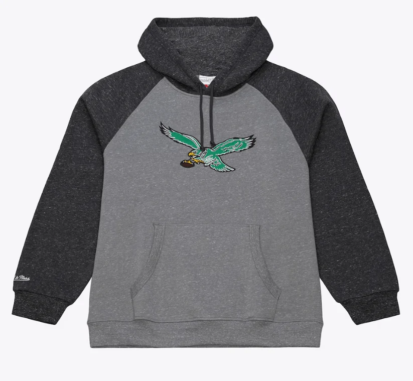 Adult Philadelphia Eagles Mitchell & Ness Gray Winning Streak Fleece Hooded Sweatshirt - Men's